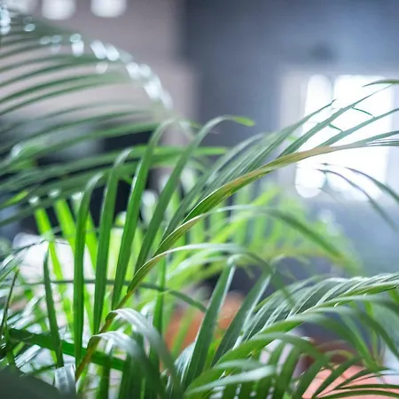 Cinematic Modern Flat, 100 Mt Da Ospedale *